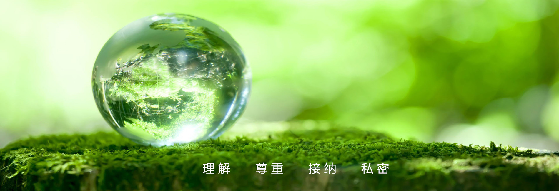 幻灯2